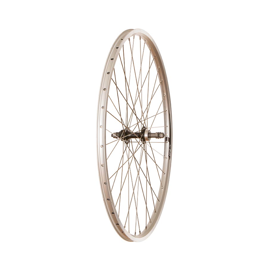 Wheel Shop, Evo Tour 19, Wheel, Rear, 27'' / 630, Holes: 36, Bolt-on, 130mm, Rim, Freewheel