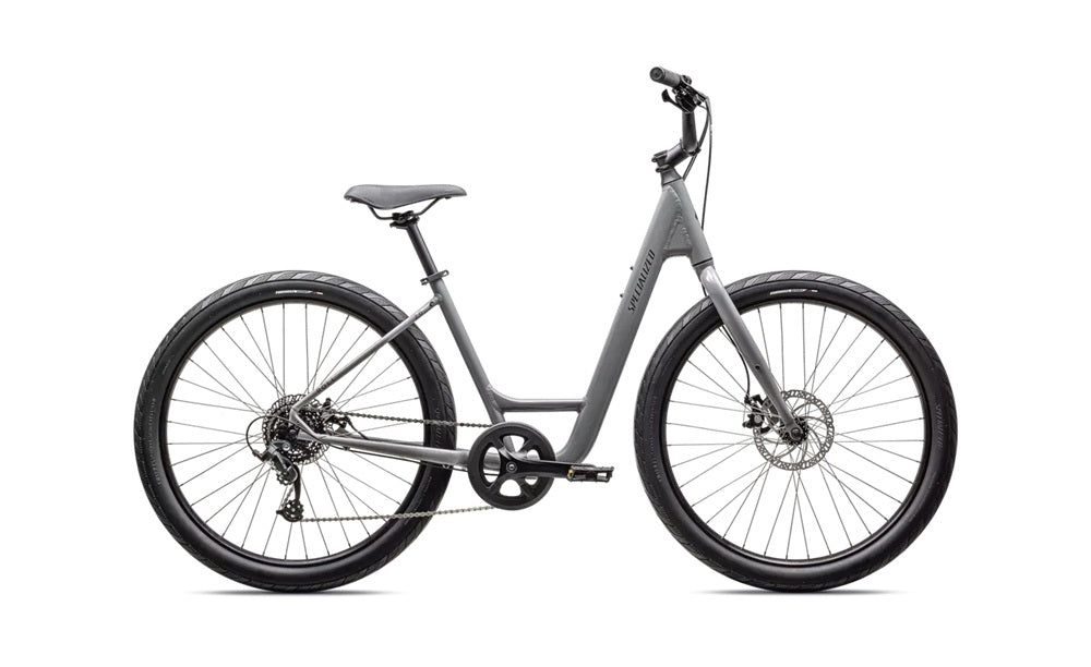 Specialized Roll 2.0 Low Entry shown in Gloss Cool Grey / Satin Smoke Reflective.