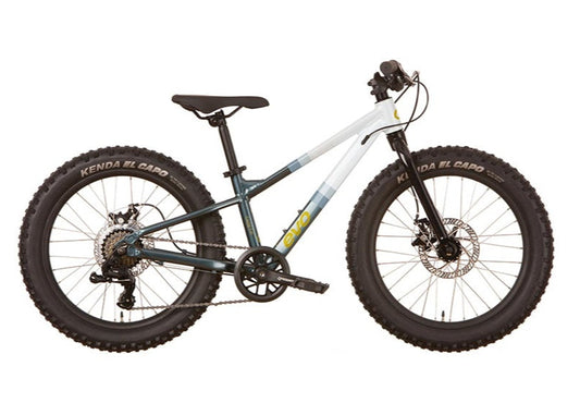 EVO Cadet 20  Kids Bicycle shown in blue white