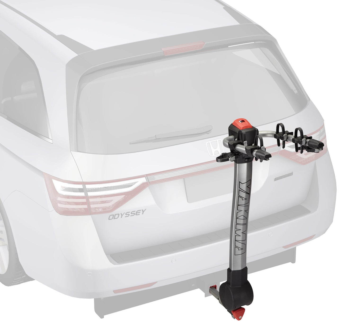 YAKIMA RIDGEBACK 2