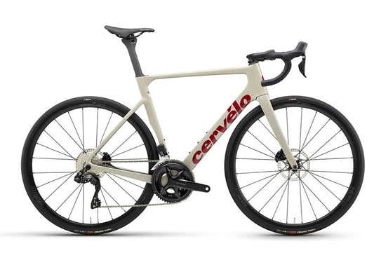 Soloist Rival AXS in Dried Amaranth